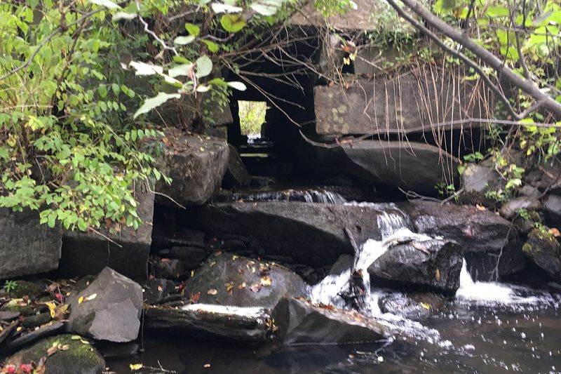 Водопропускная труба под дорогой