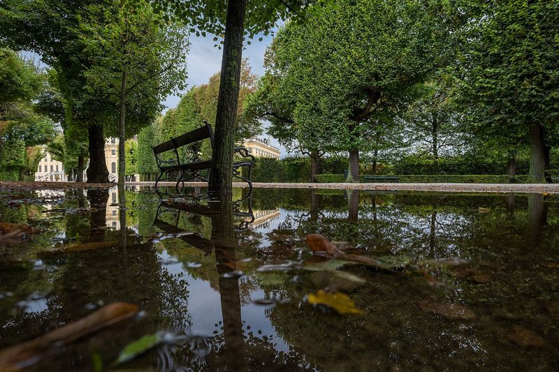 Вода стоит в саду после дождя