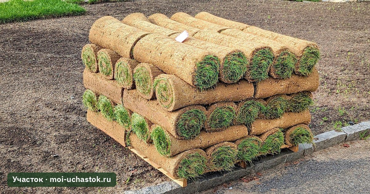 Рулоны газонного дёрна