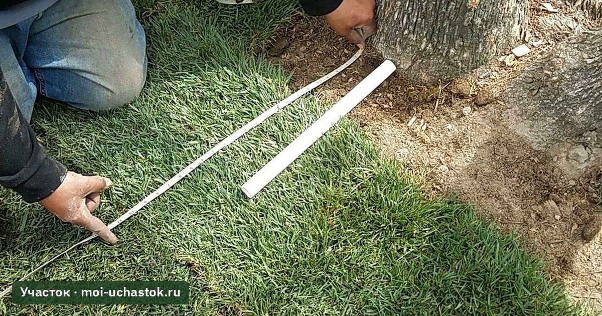 Укладка рулонного газона