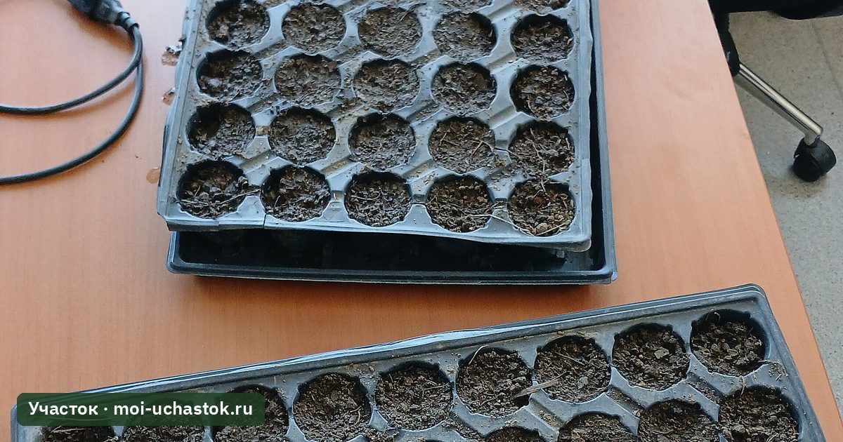 Кассеты для выращивания рассады