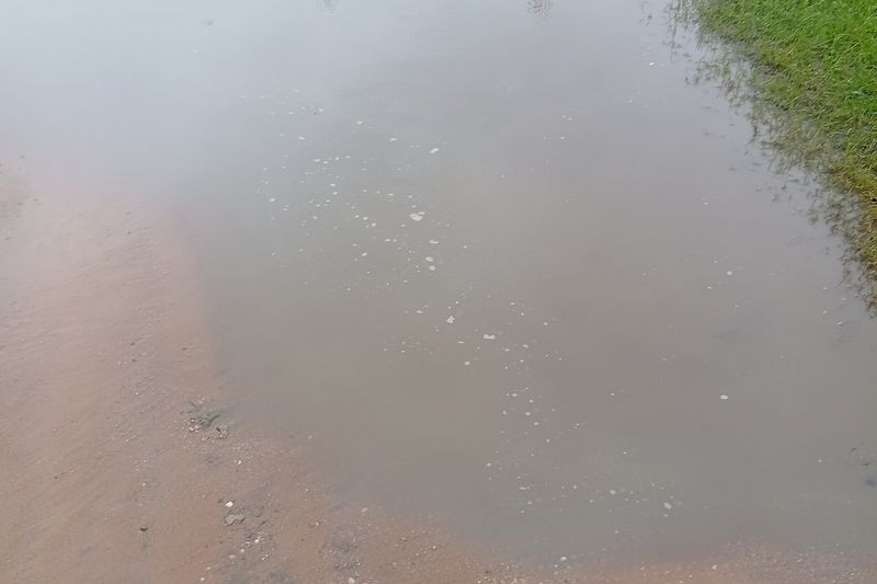 Переувлажнённые грядки с застоем воды