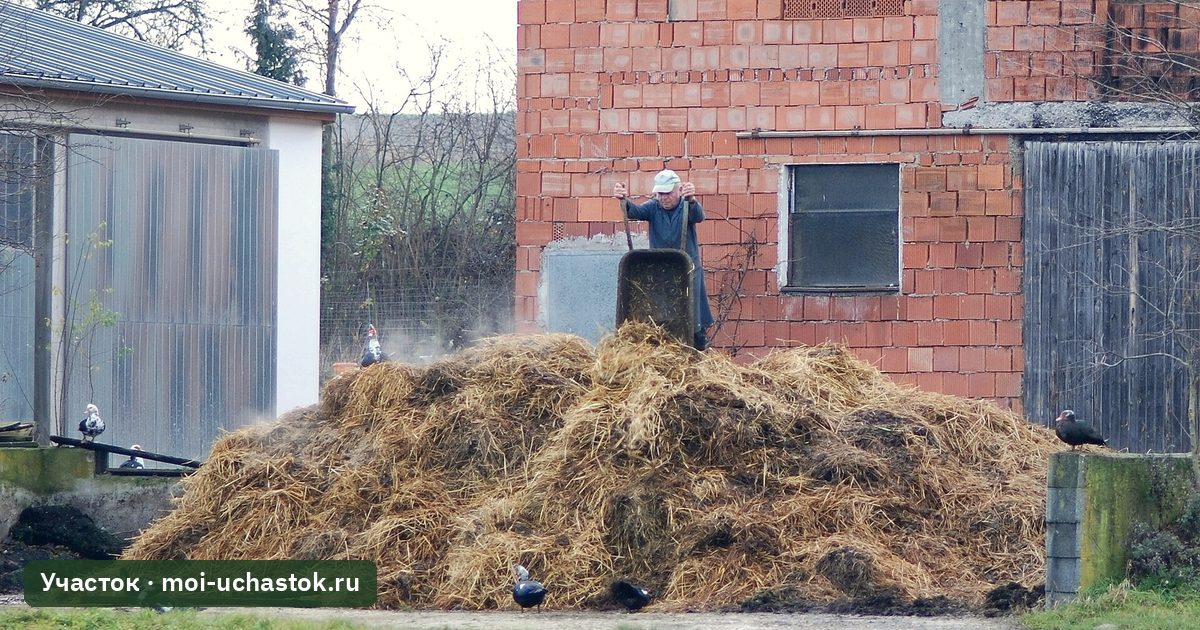 Куча навоза у хозяйственной постройки