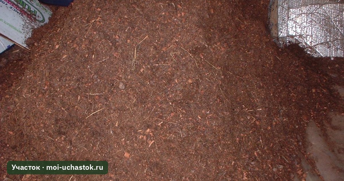 Почва с органикой