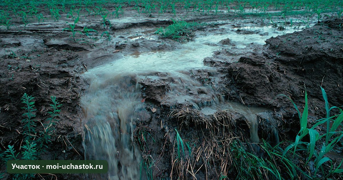 Вода стекает по поверхности поля, унося почву