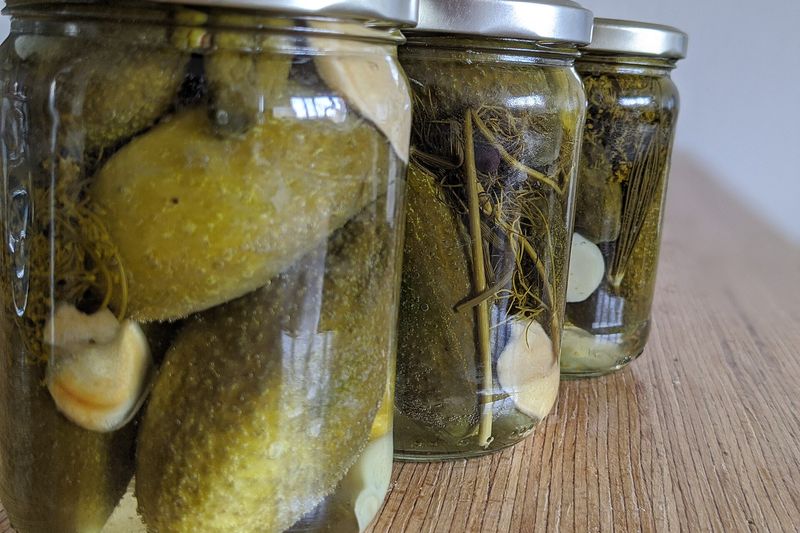 Банки с солёными огурцами: для засолки нужны плоды с плотной мякотью