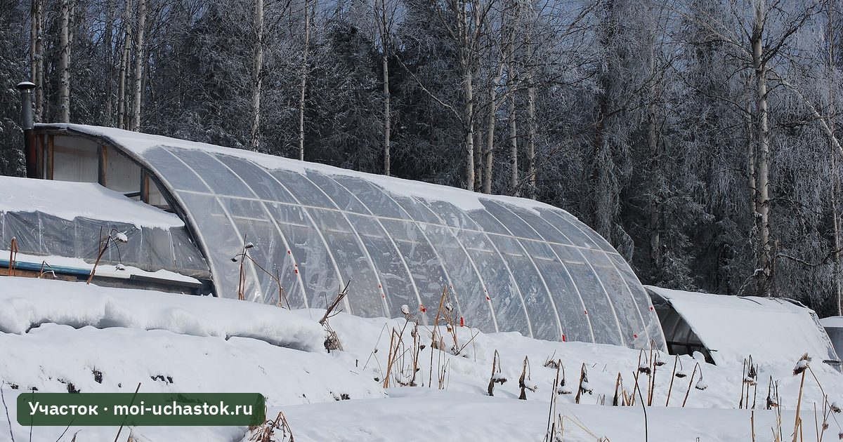 Арочная теплица зимой под снегом