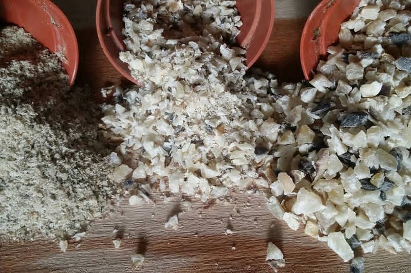 Роговая стружка — органическое удобрение