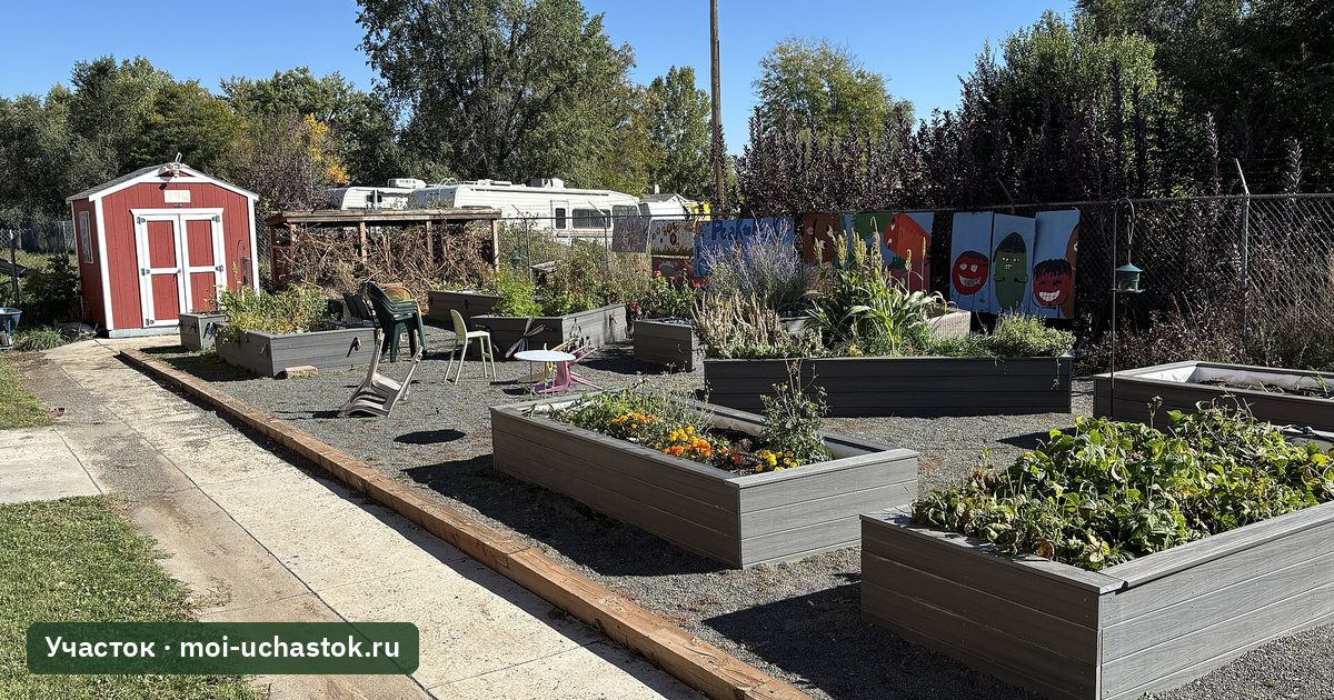 Огород с узкими грядками в коробах и широкими проходами