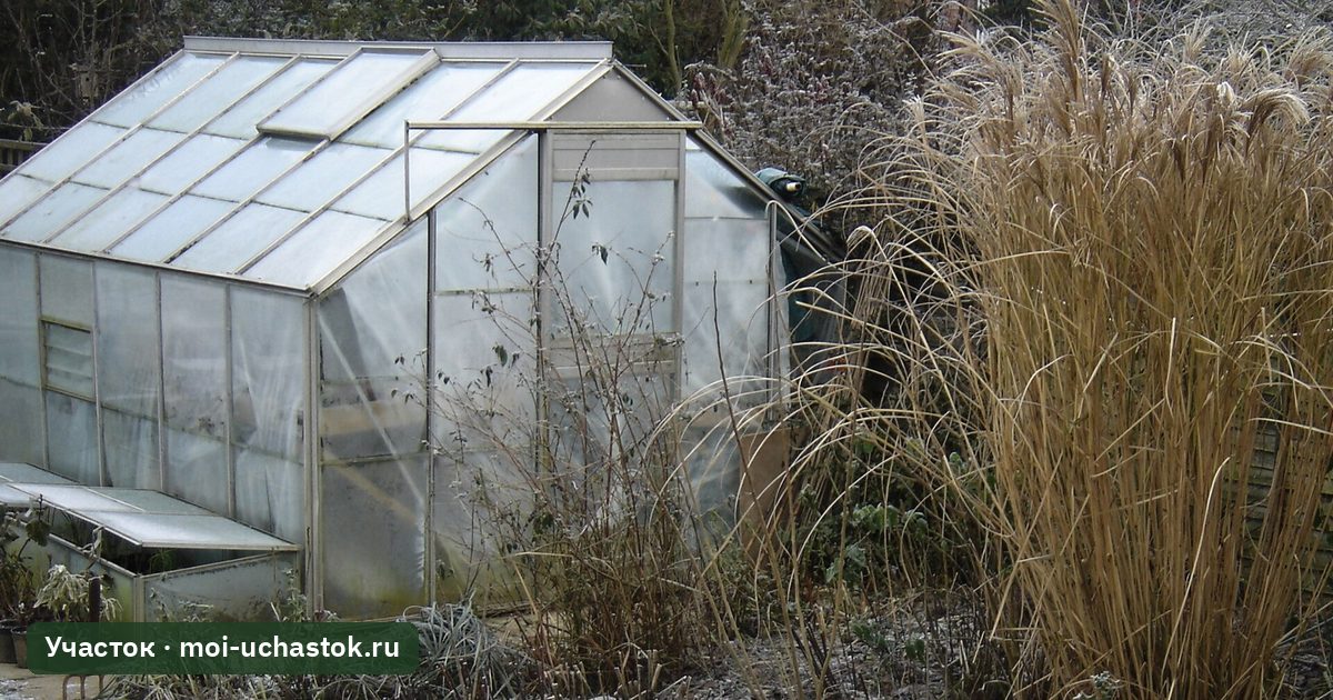 Теплица в саду после заморозка