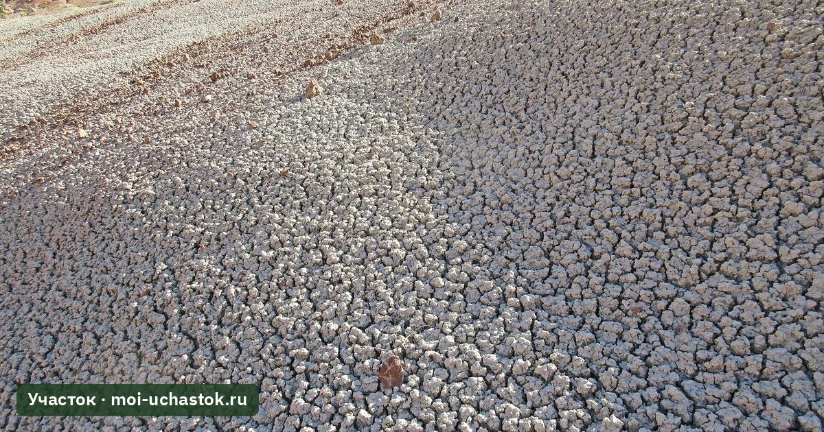 Солевая корка на пересохшей почве