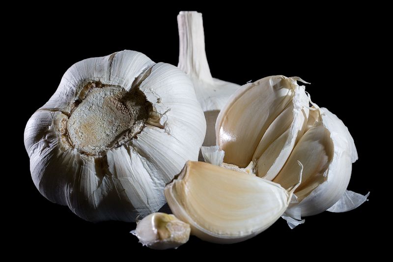 Чеснок (Allium sativum)