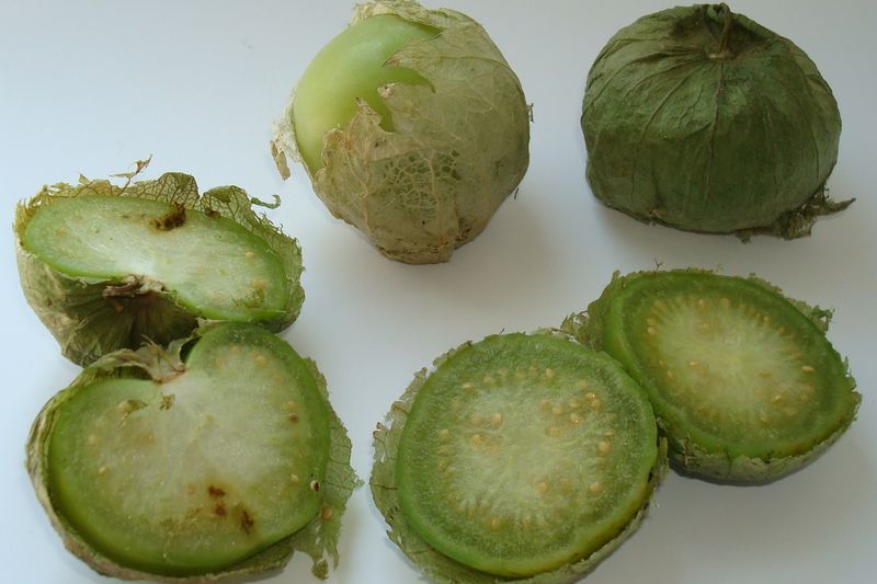 Физалис овощной (Physalis philadelphica)