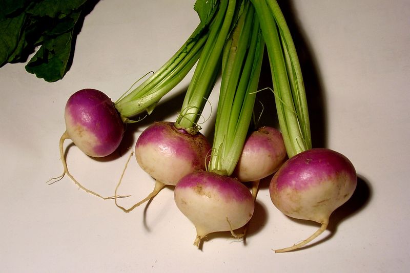 Репа (Brassica rapa subsp. rapa)