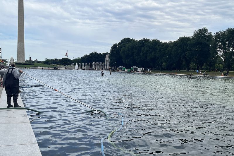 Вода с водорослями