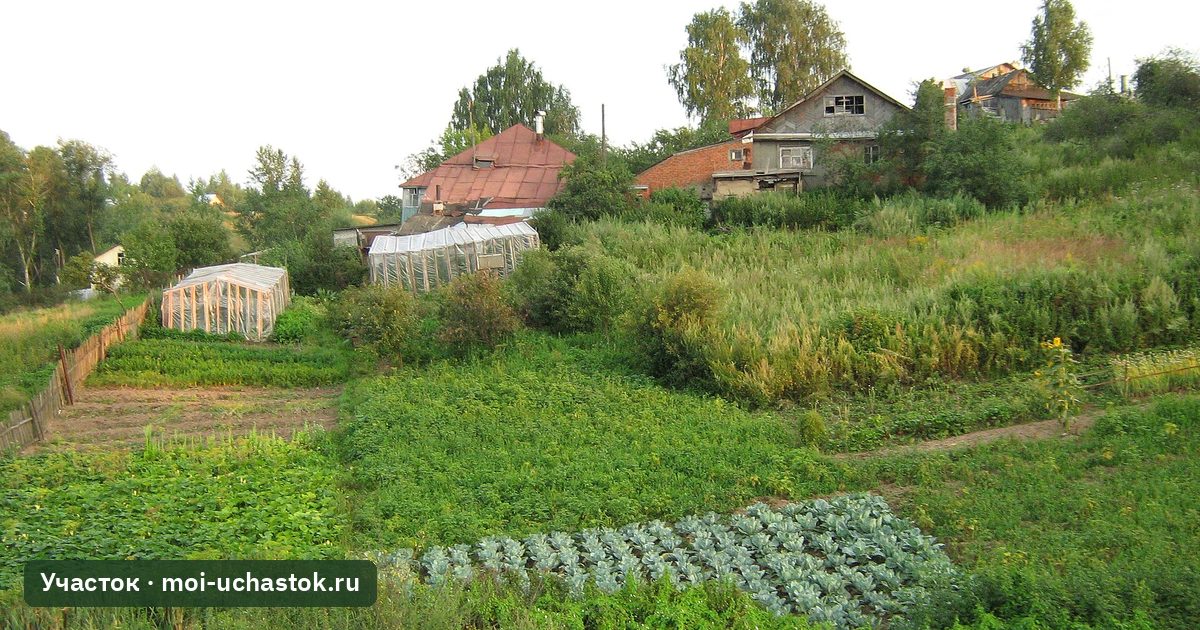 Дачные участки с домами, садом и огородами