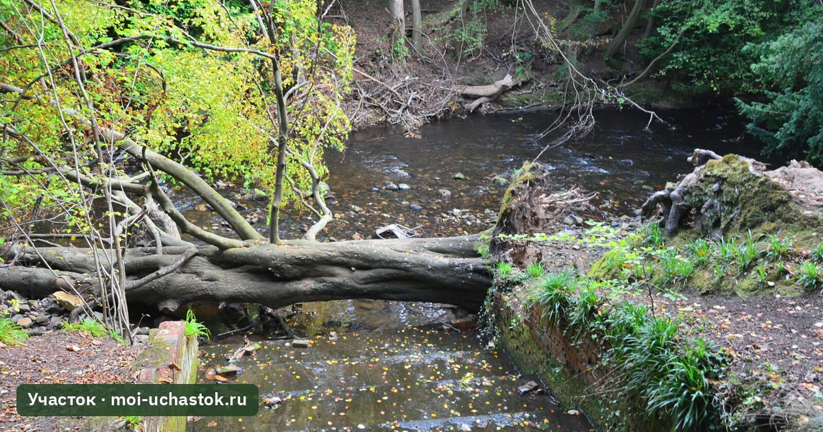 Ливневый лоток для стока воды