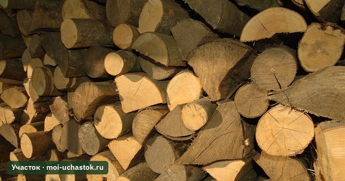 Колотые дрова, сложенные для просушки