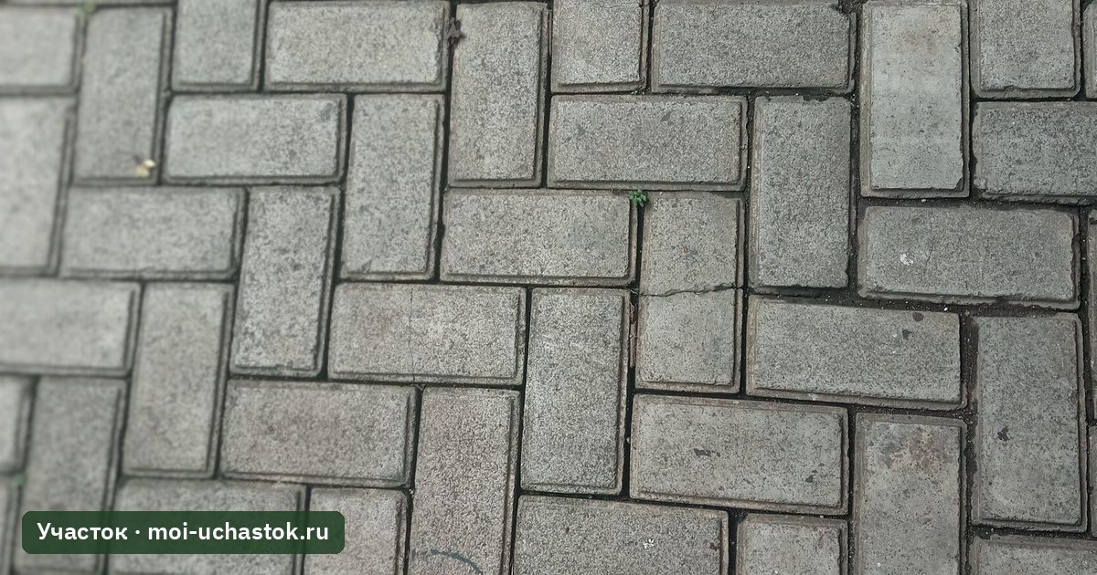 Серая тротуарная плитка-брусчатка