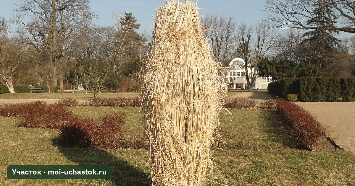Замульчированные посадки в парке