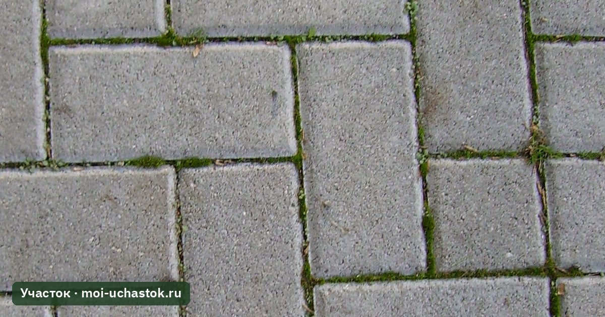 Тротуарная плитка со швами