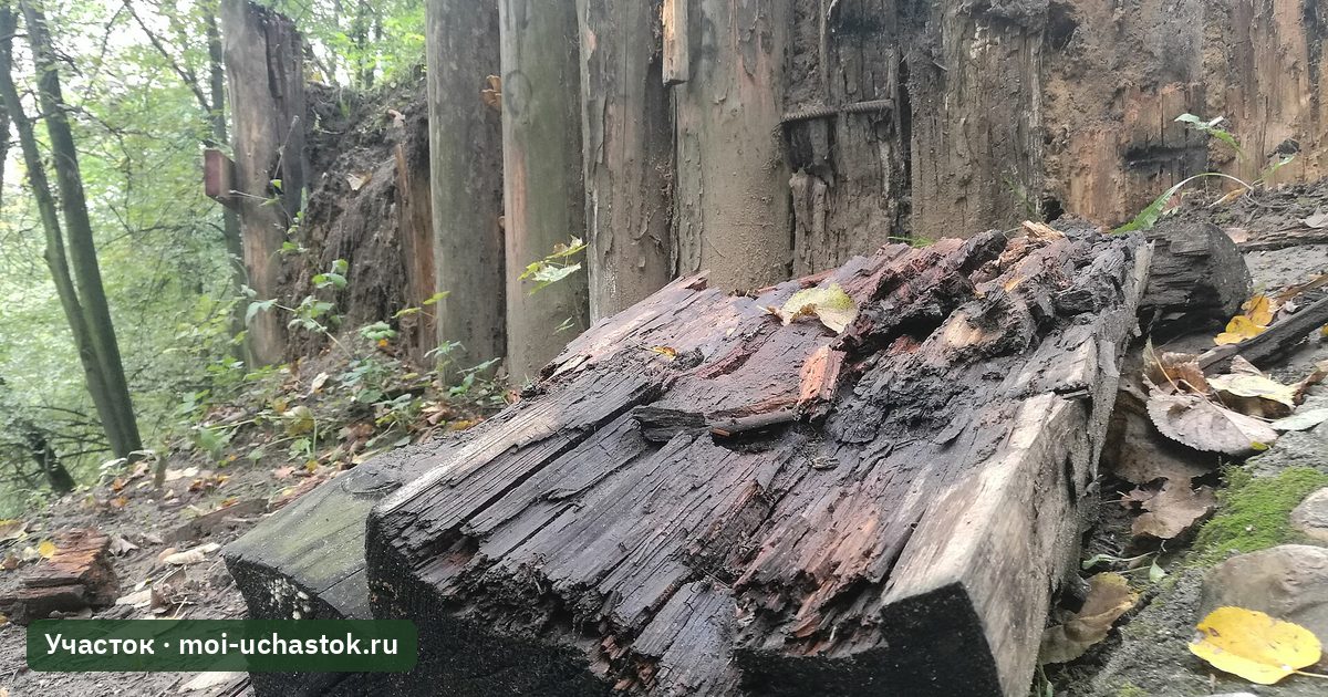 Старая деревянная подпорная стенка из брёвен в парке Коломенское