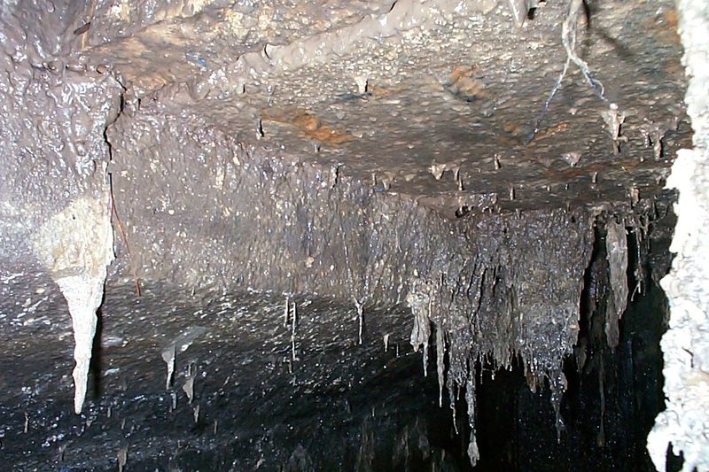 Внутри септика: стоки и газы опасны