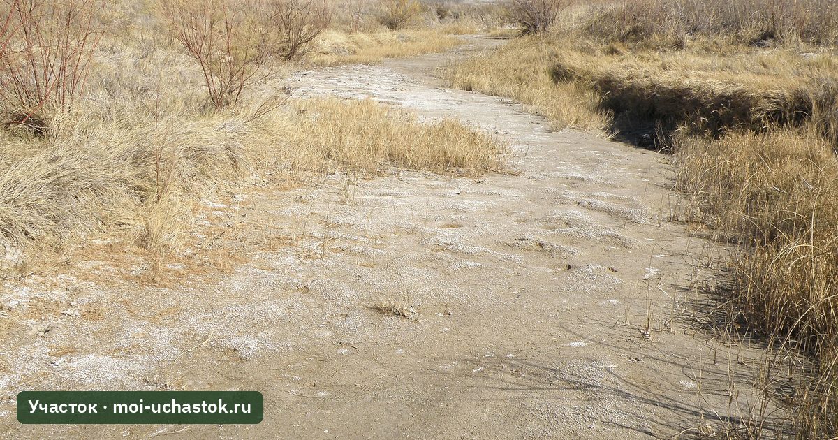 Сухое русло ручья с камнями