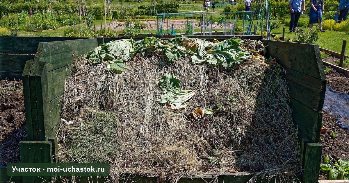 Компостер в огороде