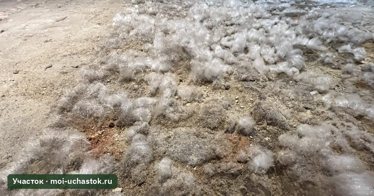 Белый налёт высолов на кирпиче