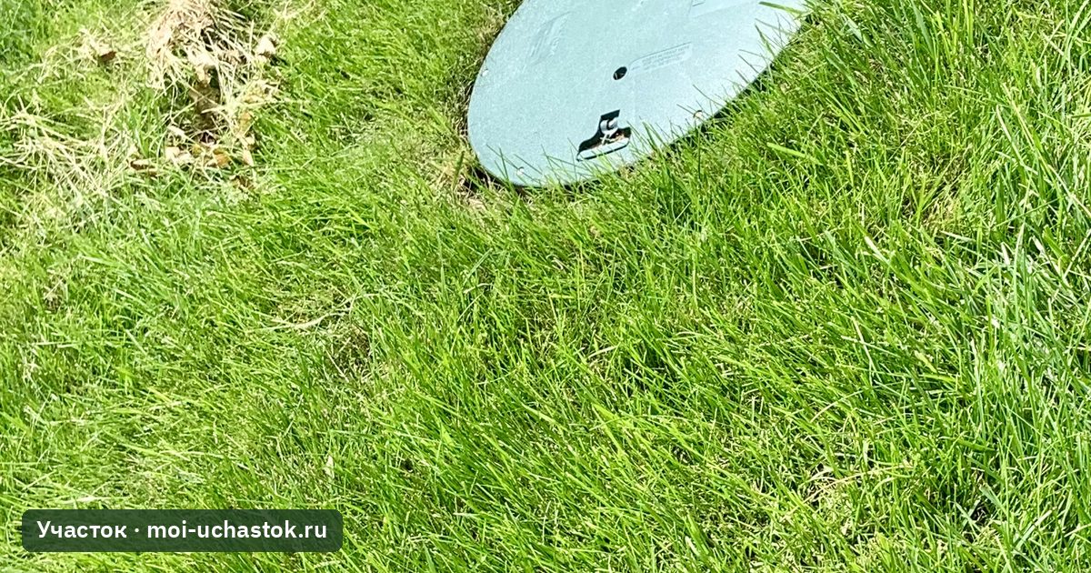 Люки септика на газоне