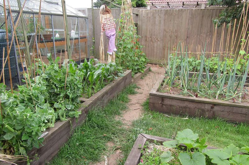 Высокие грядки в овощнике
