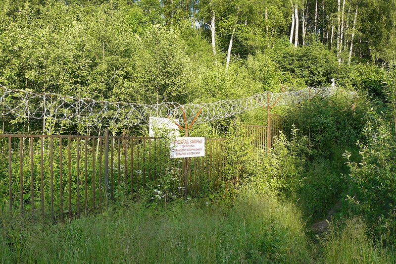 Заросшая полоса земли вдоль забора