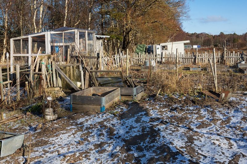 Садовые участки, разделённые на наделы