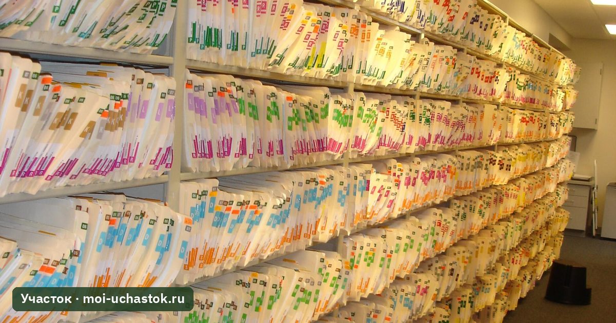 Полки с папками документов