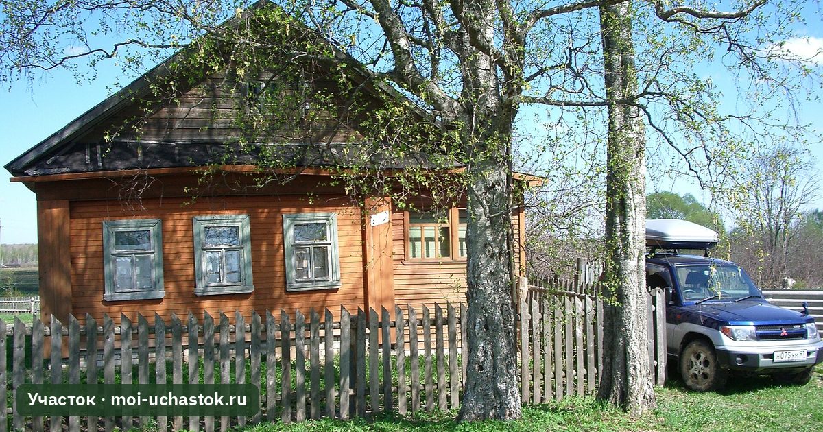 Деревянный дом на участке в деревне
