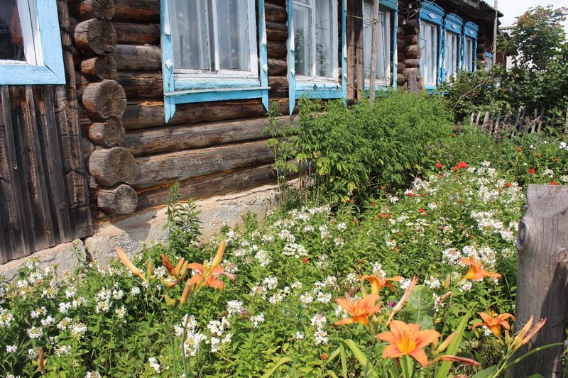 Старый деревянный дом