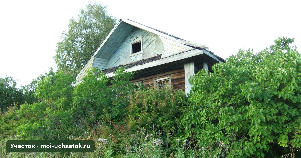 Заросший заброшенный участок с домом