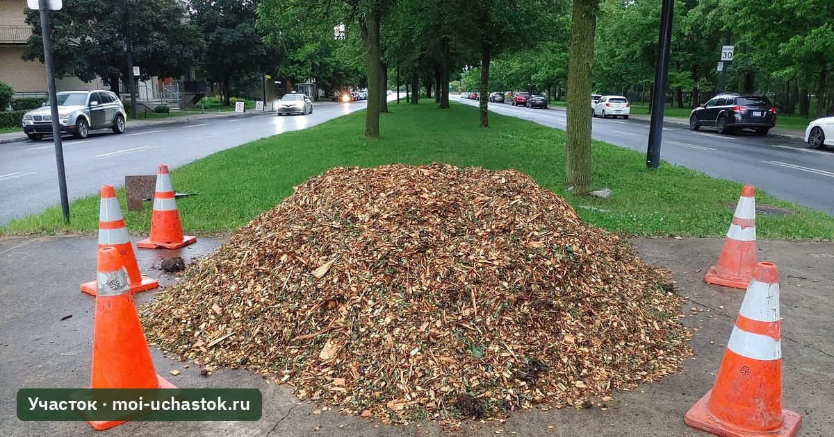 Мульча из коры на клумбе