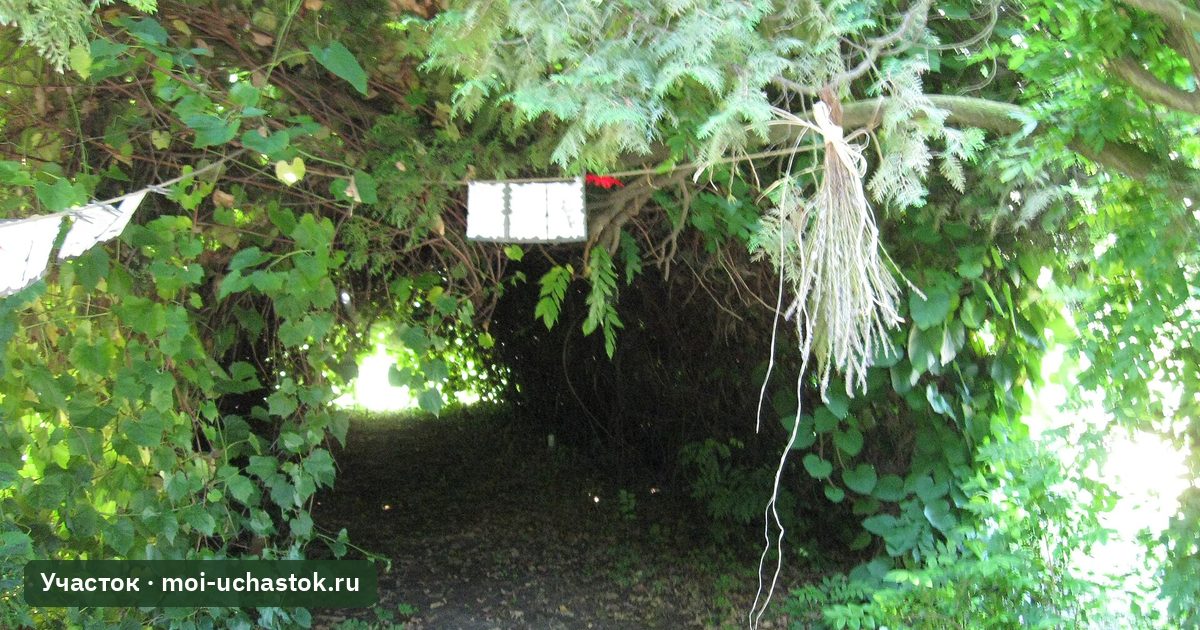 Огород при усадьбе
