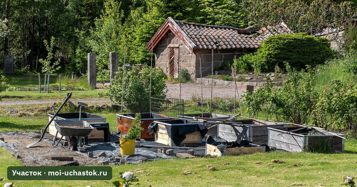 Устройство приподнятых грядок на участке