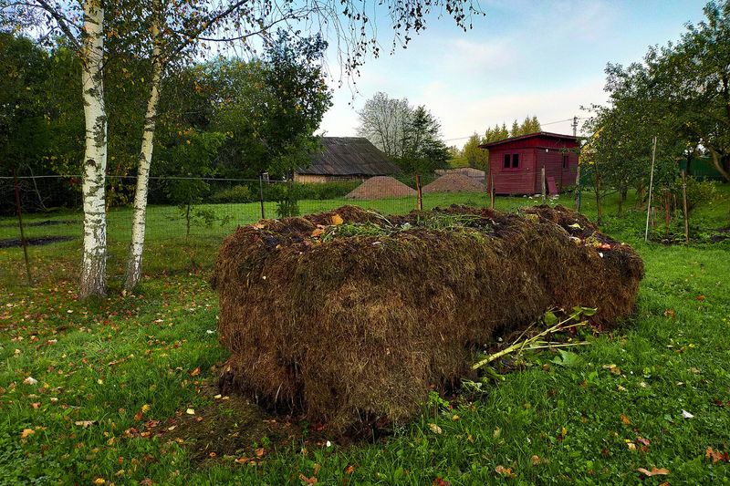 Компостная куча на участке