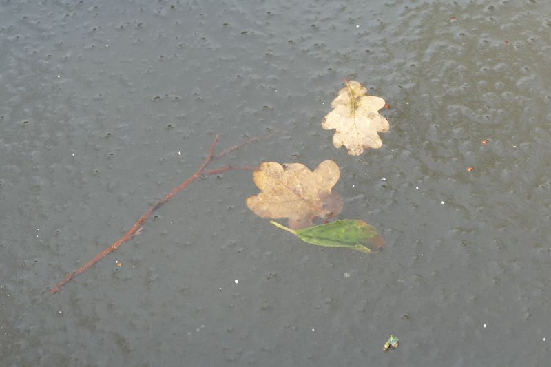 Лёд в бочке для дождевой воды