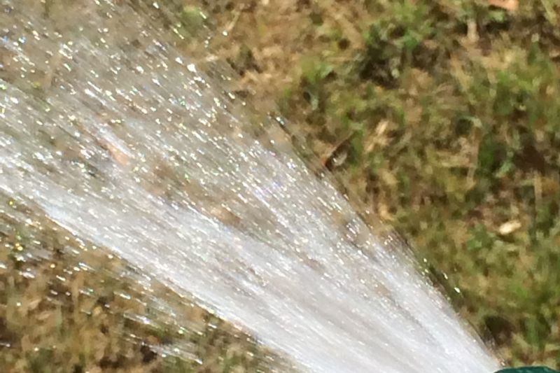 Струя воды из дождевателя