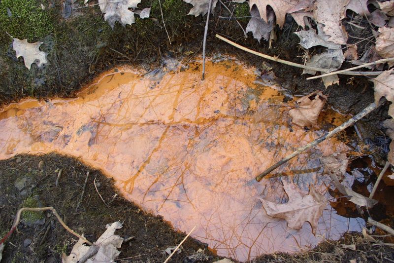 Ржавый налёт от железистой воды