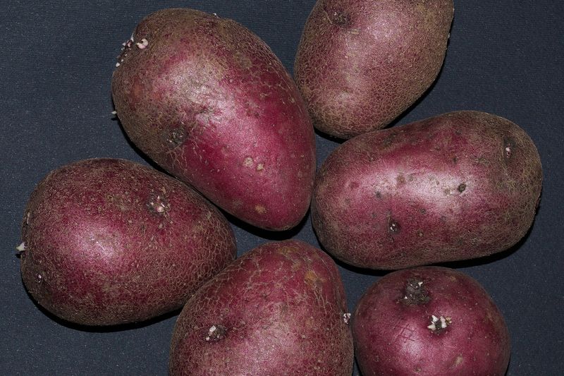 Клубни картофеля