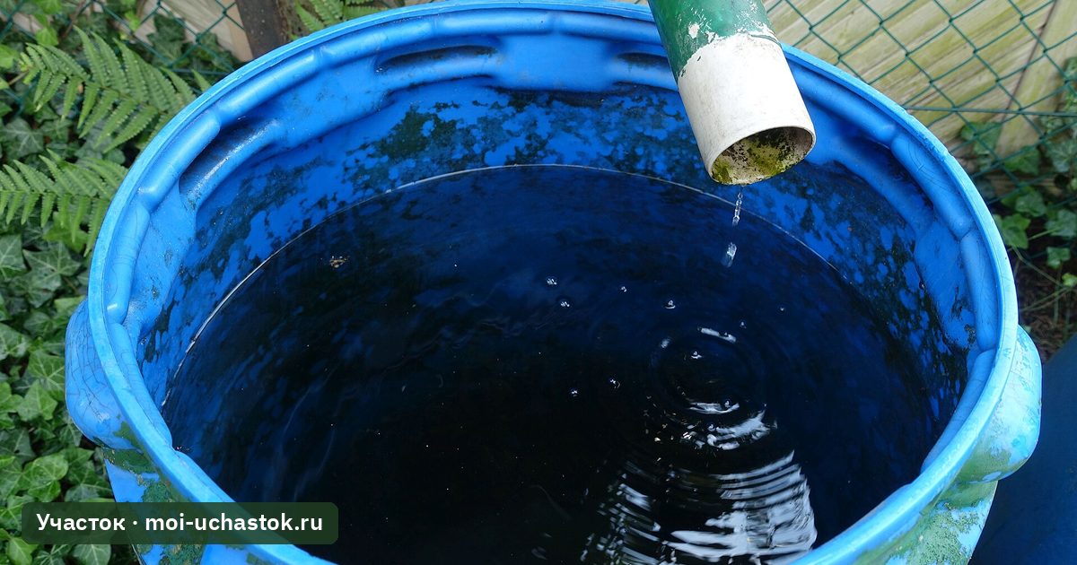Бочка для сбора дождевой воды у водостока