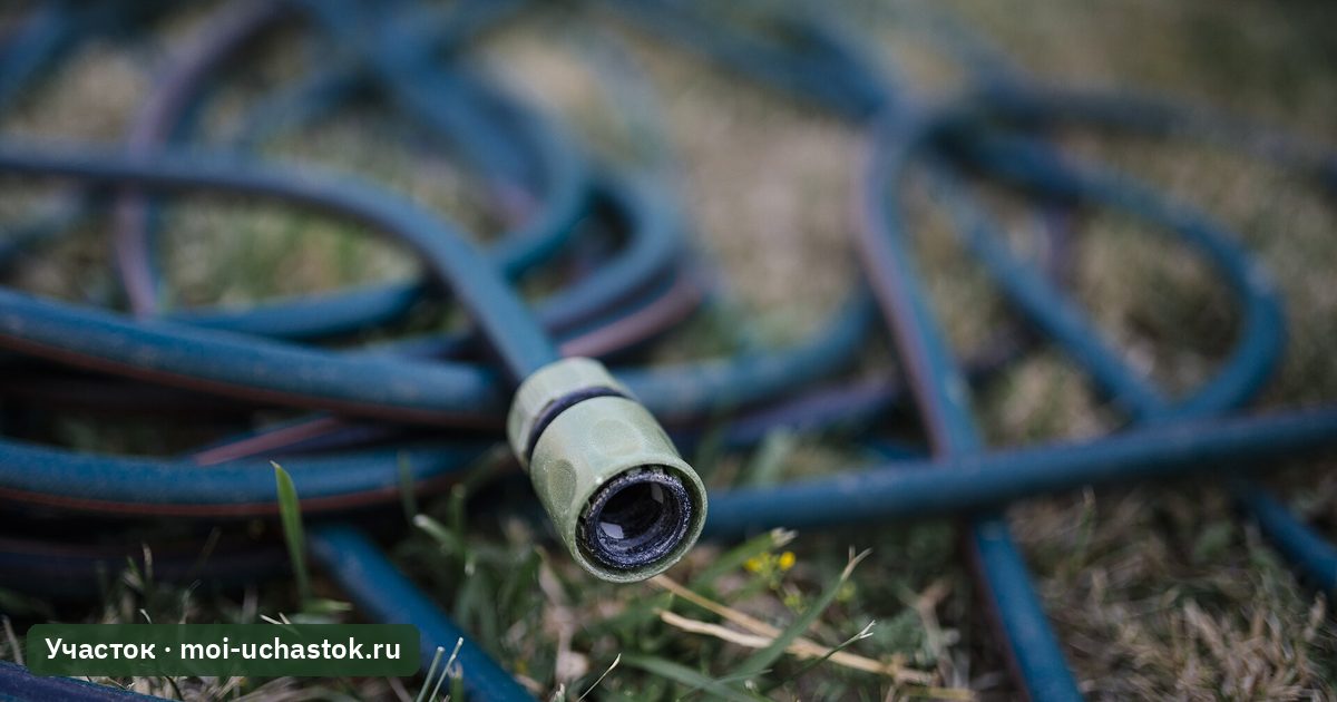 Поливочный шланг на газоне