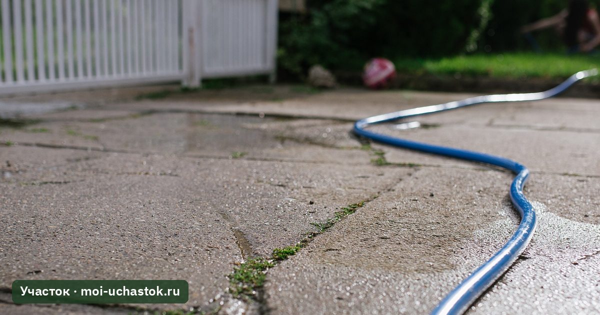 Садовый шланг на дорожке у калитки