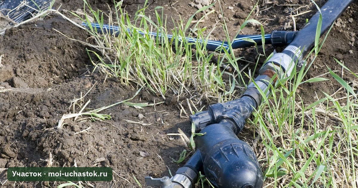 Капельный полив на грядке